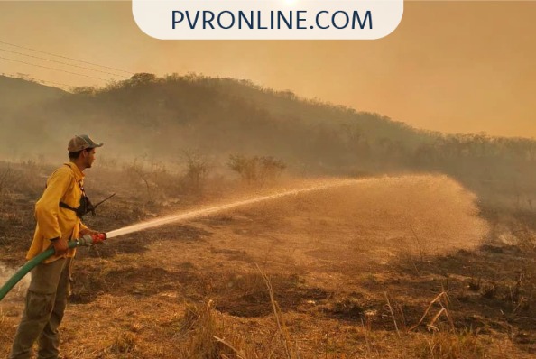 Situación crítica: Incendios forestales consumen más de 3,000 hectáreas en la región de la Bahía