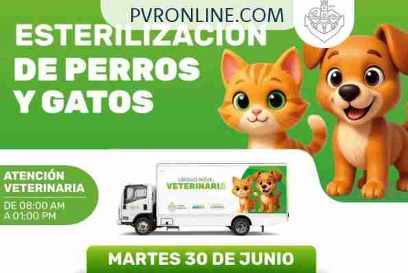 Llevarán esterilización de perros y gatos al Fraccionamiento La Floresta