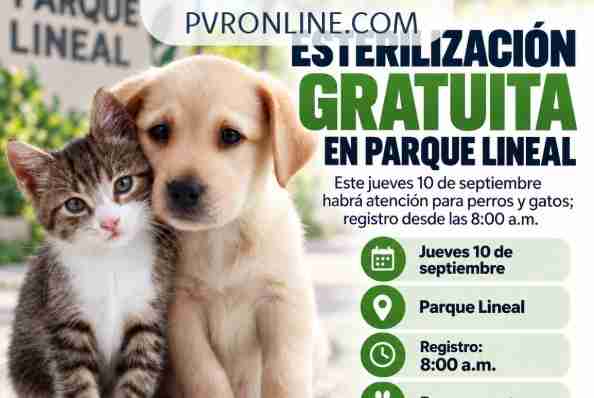 Esterilización gratuita para perros y gatos en Parque Lineal