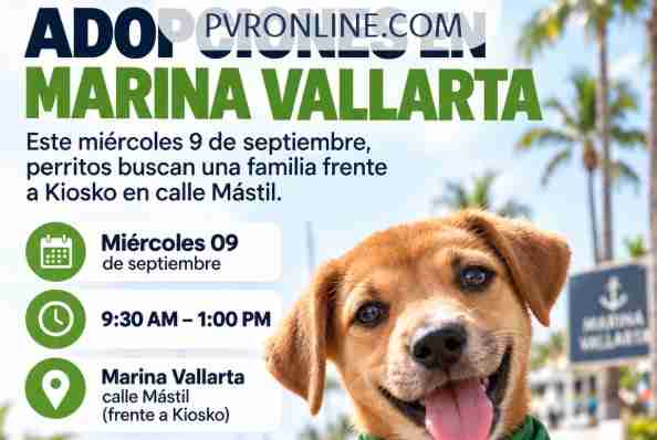 Jornada de adopciones en Marina Vallarta este miércoles